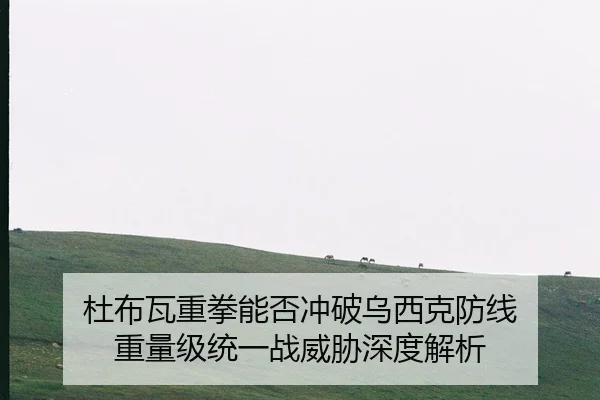 杜布瓦重拳能否冲破乌西克防线 重量级统一战威胁深度解析